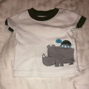 Rhino and the turtle